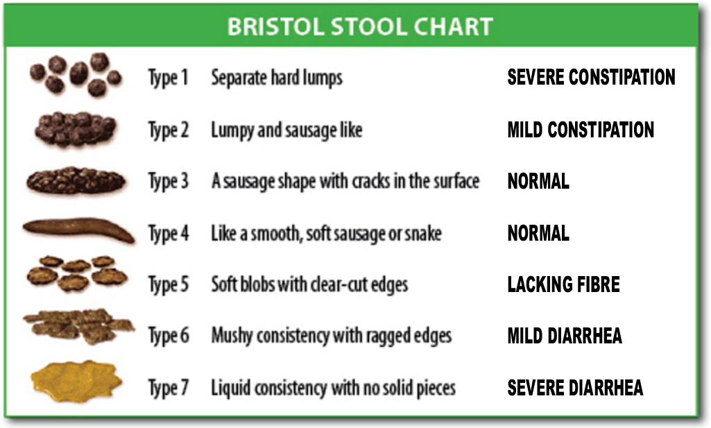 Bristol Stool Chart for constipation